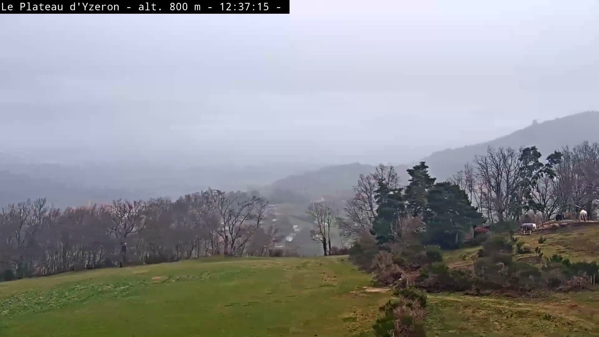 Yzeron Adventure,  Plateau d'Yzeron Live Cam - Lyon, Rhone, Auvergne-Rhone-Alpes, france