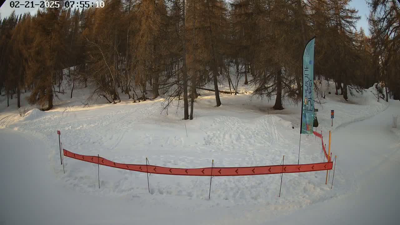 A snow-covered area with a forest of leafless trees in the background, under a mostly clear sky, features a red directional barrier.