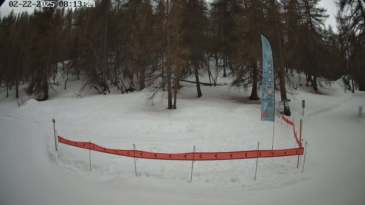 A snow-covered area with a forest of leafless trees in the background, marked by a red directional barrier.