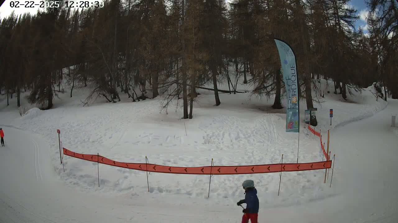 A snow-covered area with a wooded backdrop, a child on skis, and a partially visible orange barrier.