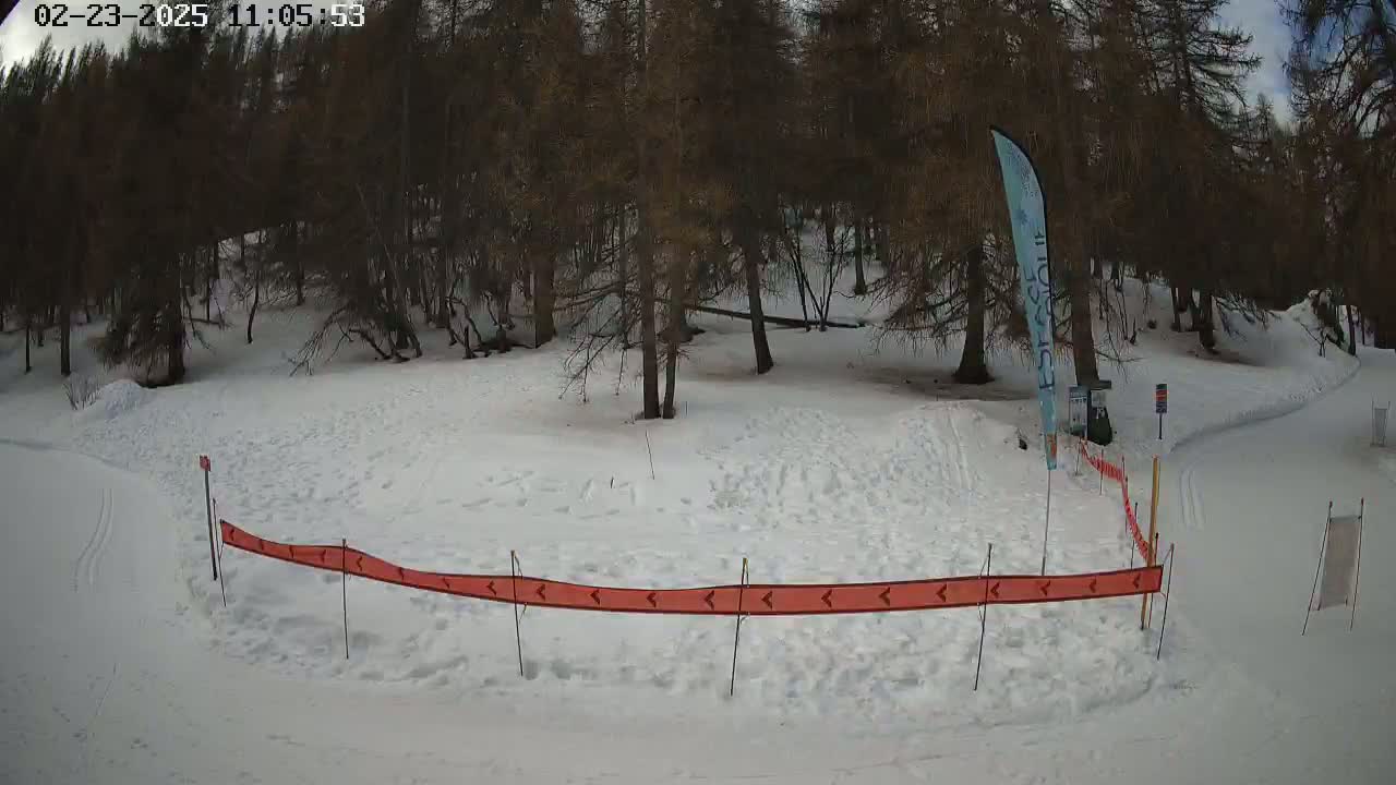 A snow-covered area with a sparsely wooded backdrop, a partially visible banner, and a red and white barrier.