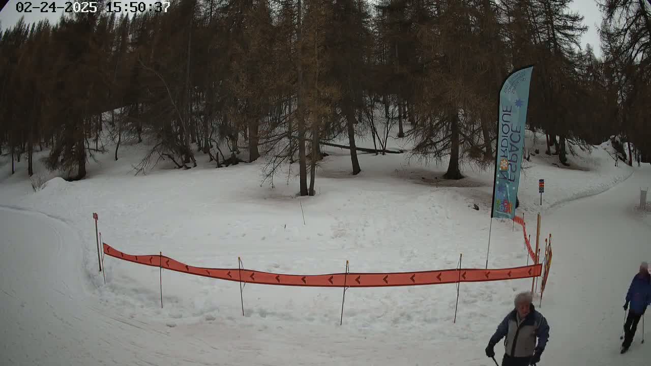 A snowy, wooded area with two cross-country skiers and a low orange directional barrier.