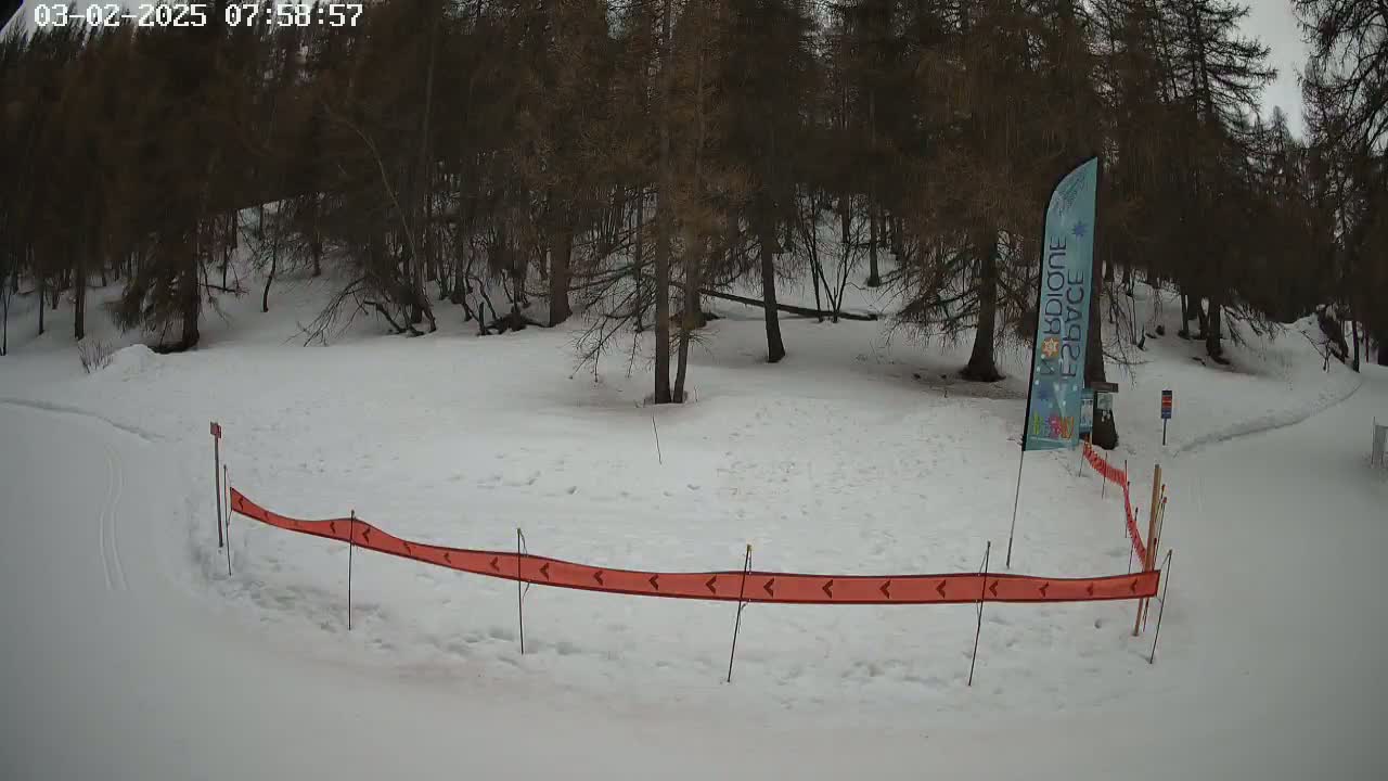 A snow-covered area with a winding orange barrier and a stand of dark trees in the background under a cloudy sky.