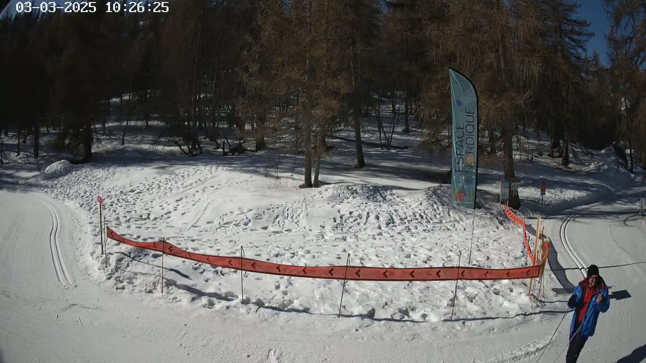 A person cross-country skis on a snow-covered trail through a sparsely wooded area on a sunny day.