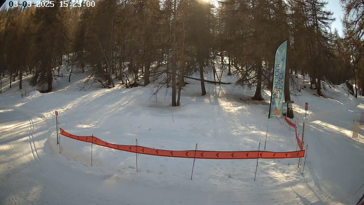 A snowy, sunlit clearing in a pine forest is partially enclosed by a low orange directional barrier.