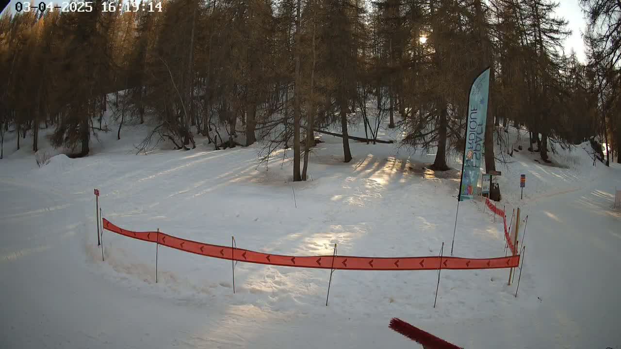 A snow-covered area with trees in the background, illuminated by the low winter sun, is partially enclosed by a low orange fence.