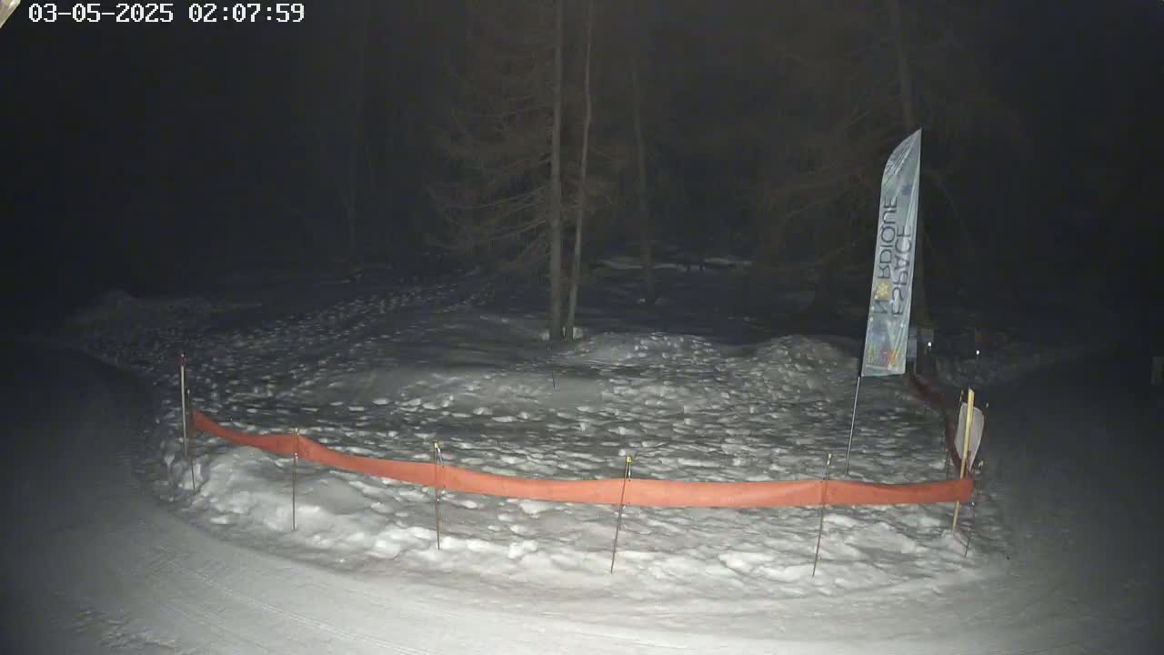 A snow-covered area at night, bordered by a low orange barrier, with a few dark trees visible in the background.
