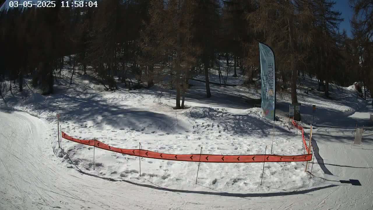 A snow-covered ski slope winds through a sunny, sparsely wooded area, marked by an orange snow fence.
