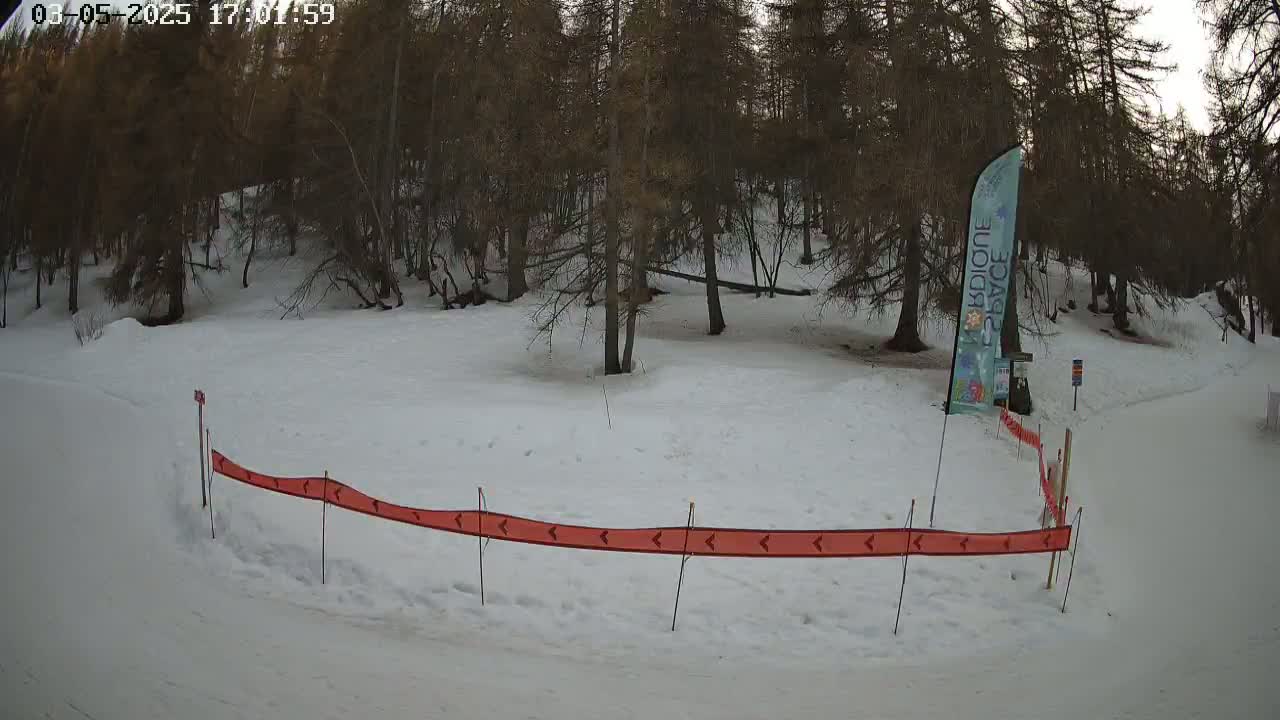 A snow-covered area with a forest of dark trees in the background, a red directional barrier in the foreground, and a tall banner standing near the trees.