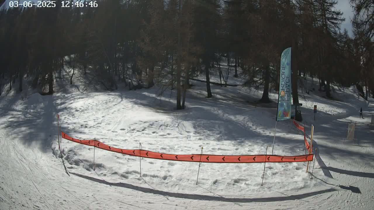 A snow-covered area with trees in the background, under sunny conditions, features a long, low orange barrier marking a path.
