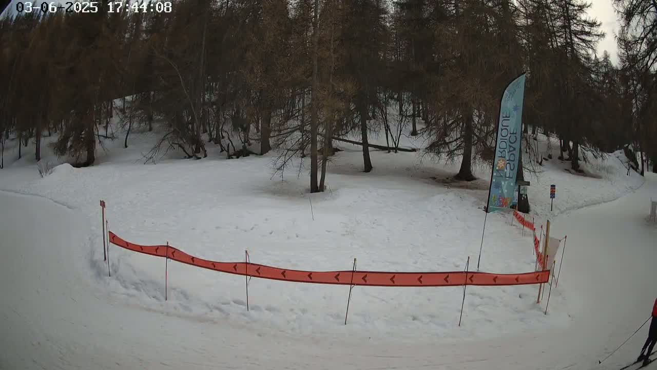 A snow-covered area with a forest in the background, featuring a curving orange directional barrier and a person cross-country skiing in the distance.