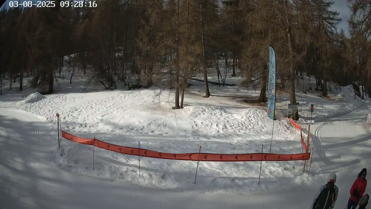 A snow-covered cross-country ski trail winds through a sparsely wooded area under a sunny sky.