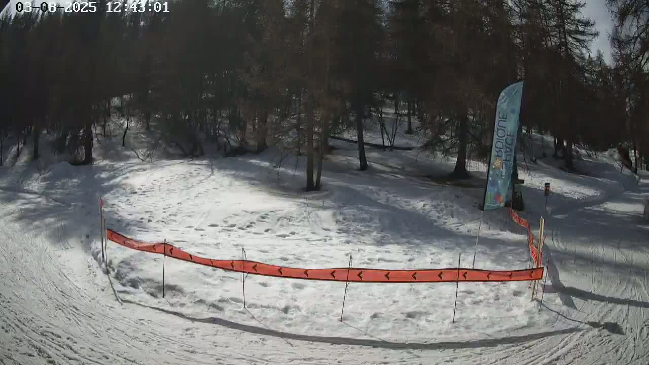 A snow-covered area with trees in the background, a partially visible banner, and an orange snow fence with directional arrows.