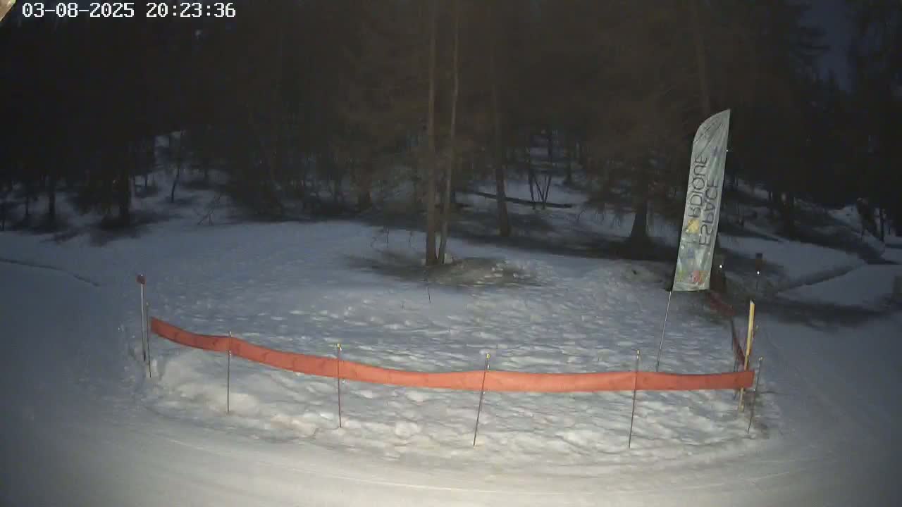 A snow-covered area at night, partially enclosed by an orange barrier, with trees in the background.