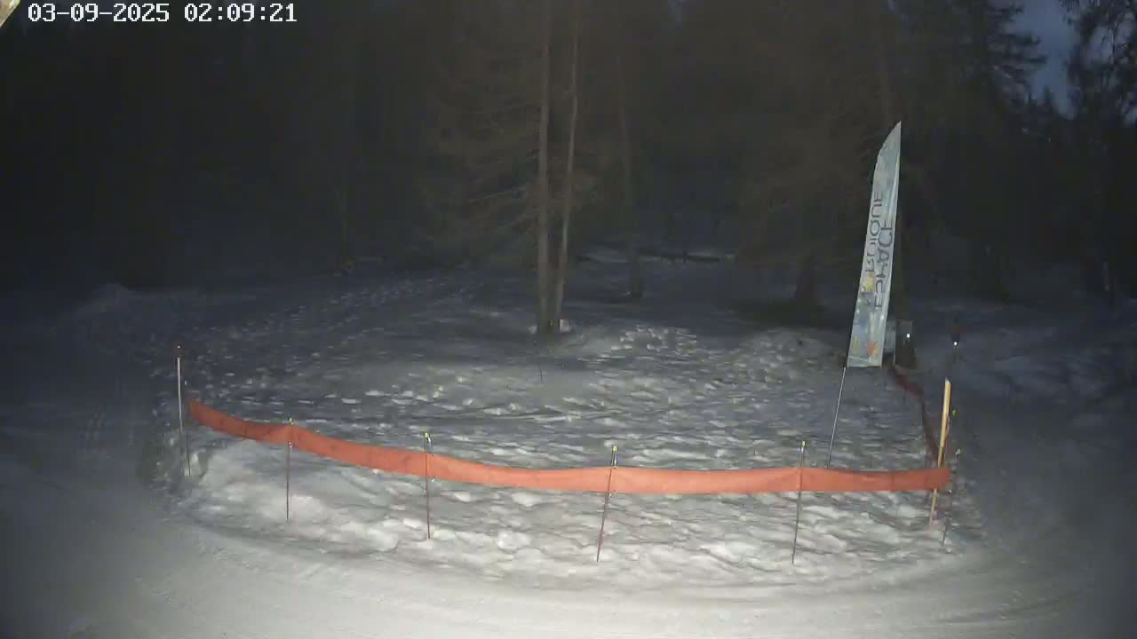 A snow-covered area at night, partially enclosed by an orange barrier, with a tree in the center and a tall, thin banner to the right.