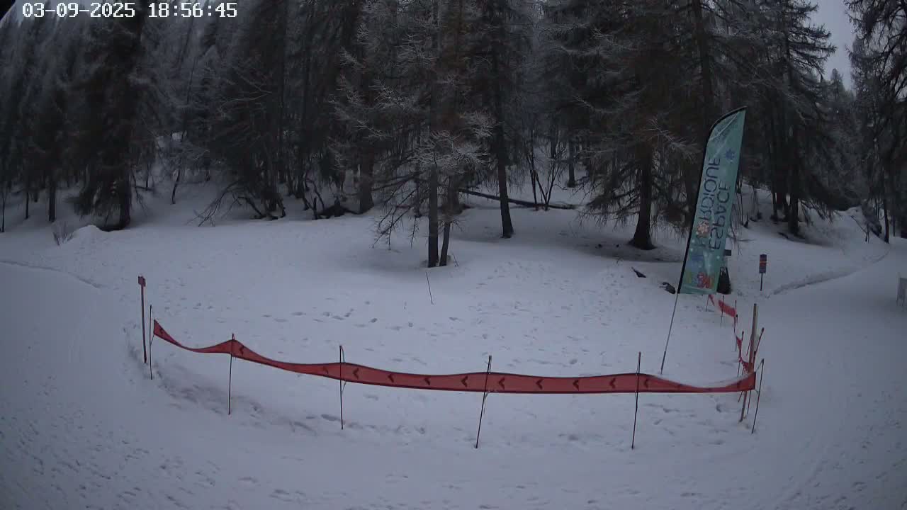 A snow-covered area with a red marker stretching across it, surrounded by a dark forest under an overcast sky.
