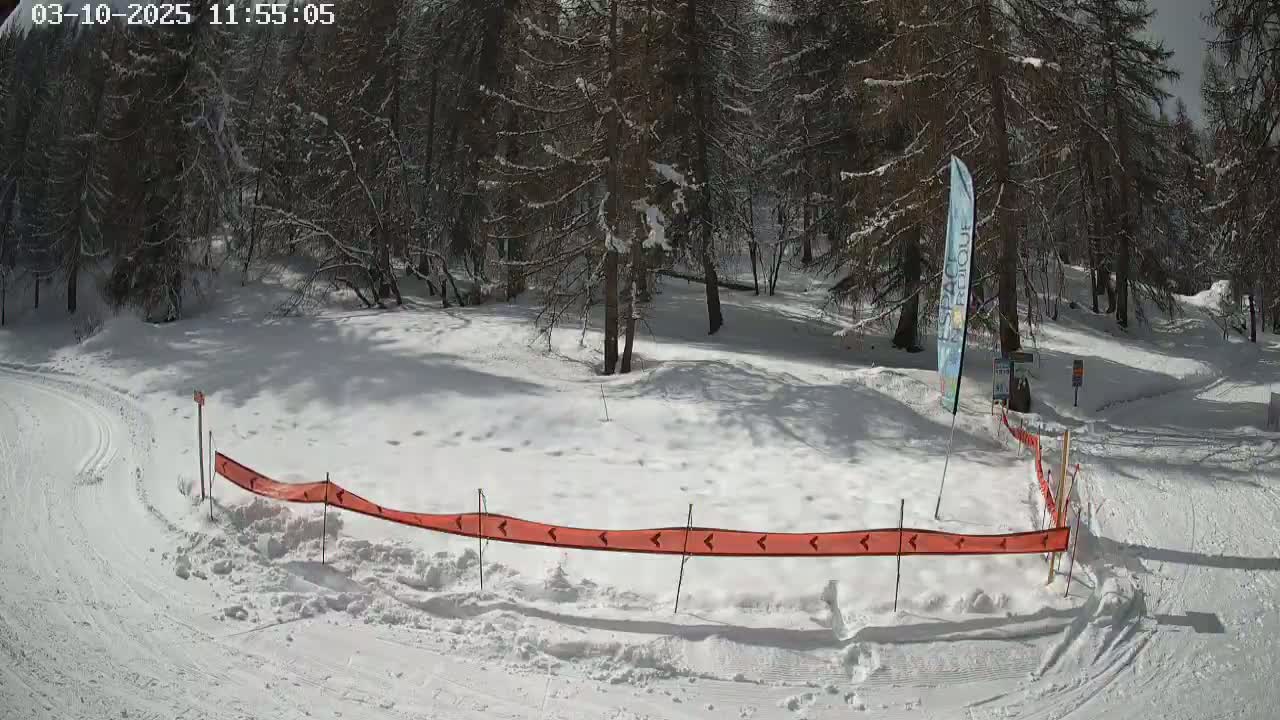 A snow-covered area with a few trees in the background, under a bright, sunny sky, features a low orange snow fence partially encircling a flat, snowy space.