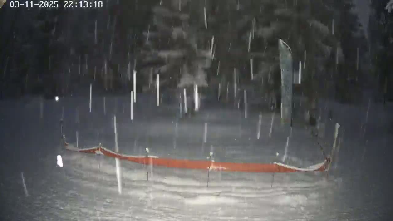 A long, low, orange object lies on the ground in heavy snow amidst a dark, wooded area.
