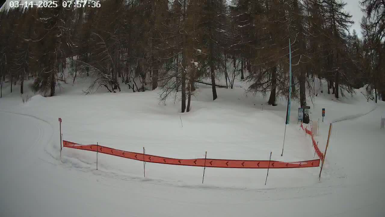 A snow-covered ski slope bordered by a red directional banner and a line of dark trees under an overcast sky.