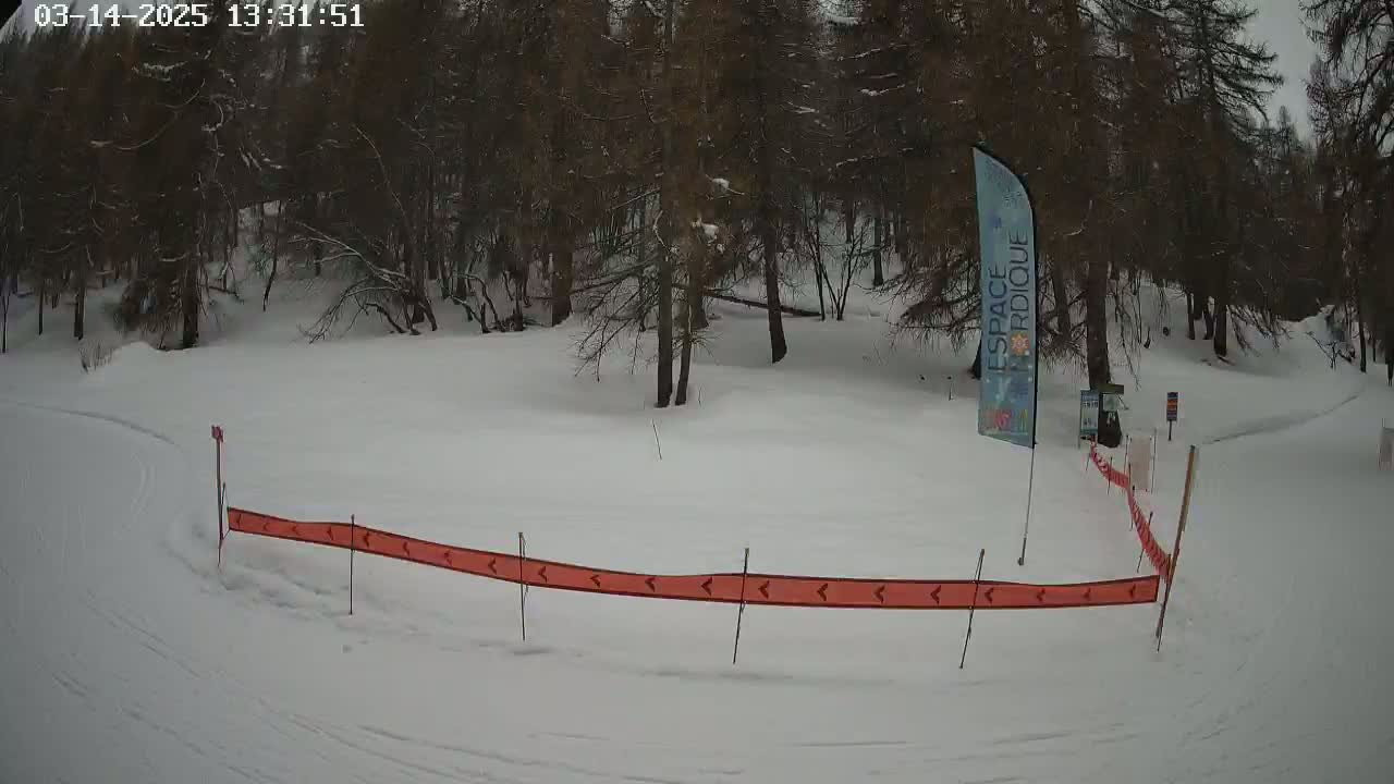 A snowy, wooded area with a section of groomed snow marked by an orange and red barrier.