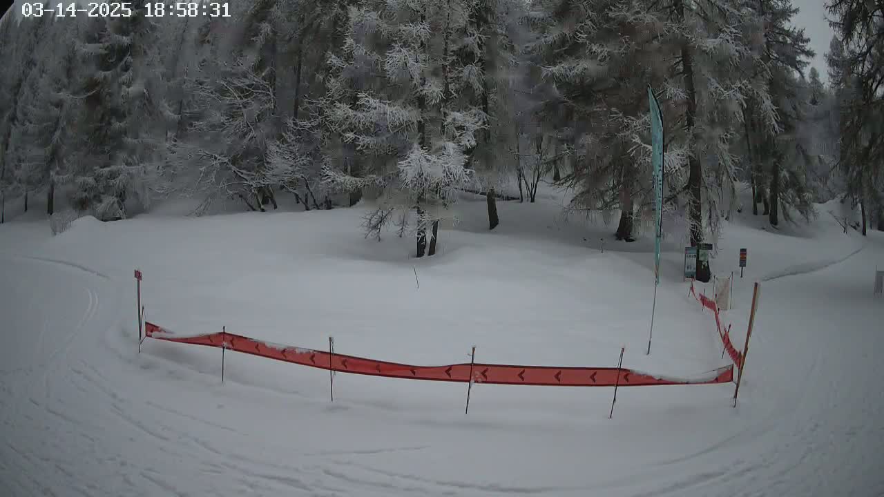 A snow-covered area with a red barrier and snow-laden trees in the background under an overcast sky.