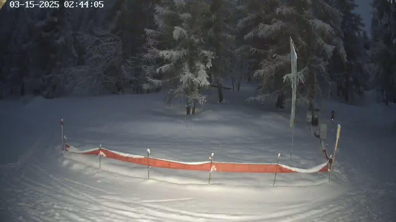 A snow-covered area at night, bordered by a low orange barrier, is surrounded by snow-laden evergreen trees under a dark sky.