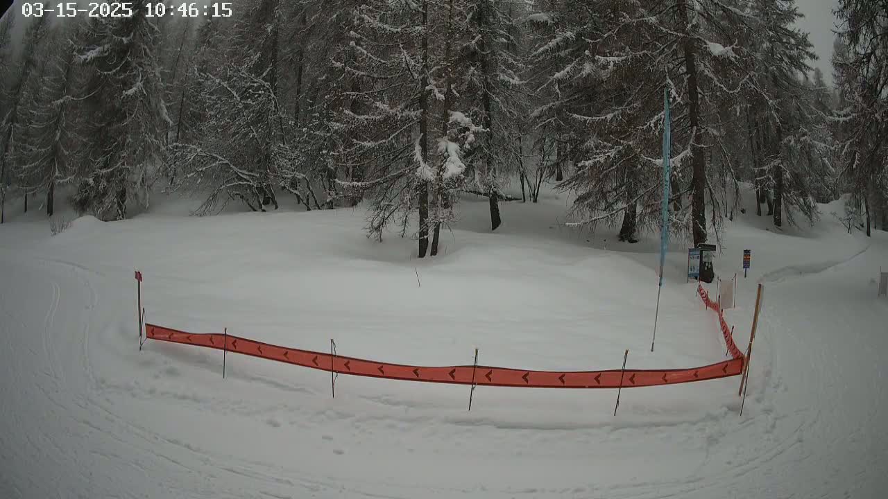 A snow-covered area with a low orange barrier, surrounded by snow-laden evergreen trees in overcast conditions.