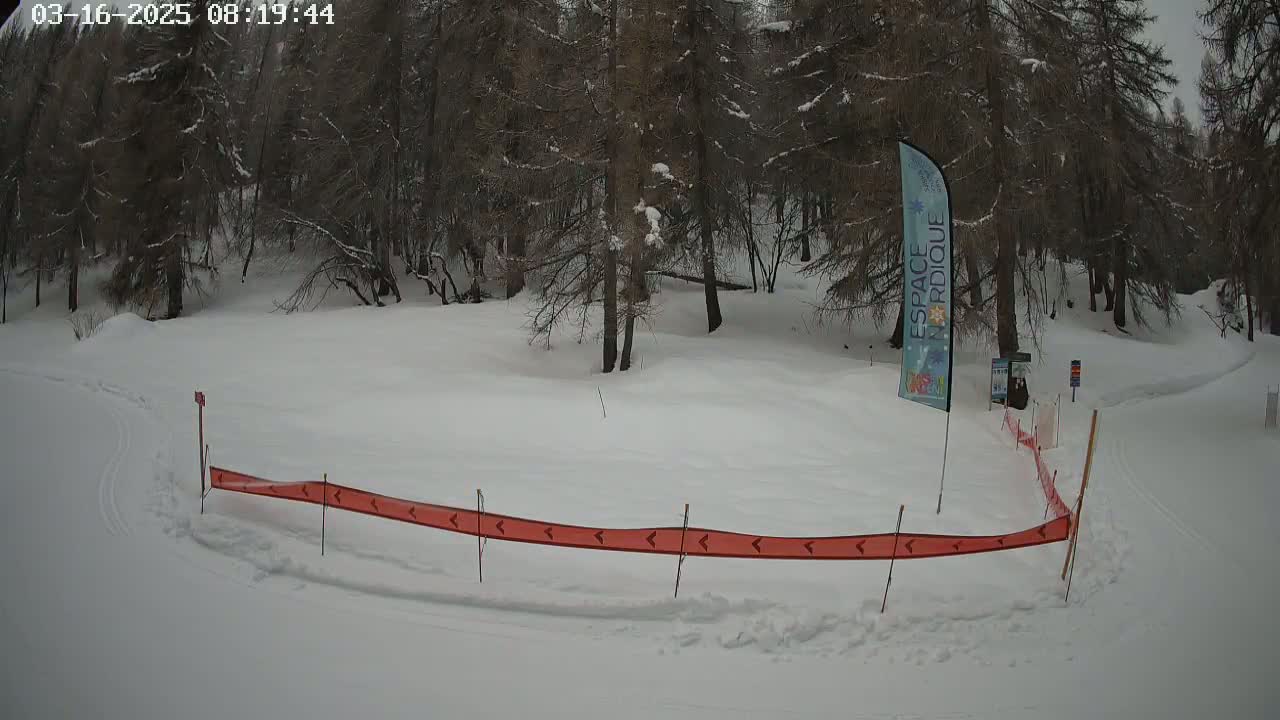 A snow-covered area with a red and orange barrier and a small, snow-covered forest in the background under overcast skies.