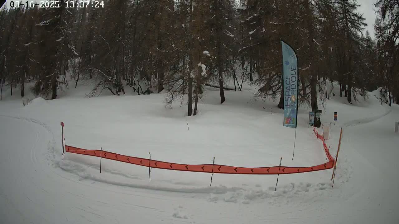 A snow-covered area with a winding path bordered by a low orange barrier, situated within a snow-dusted forest under an overcast sky.