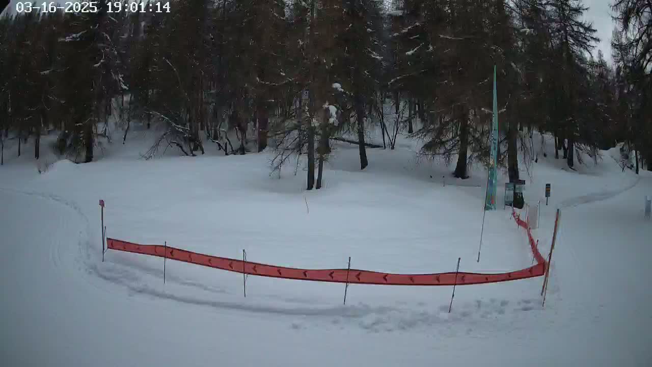 A snow-covered area with a red barrier and a line of footprints, surrounded by dark evergreen trees under an overcast sky.