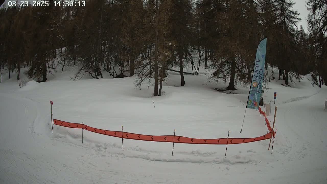 A snow-covered area with a line of orange markers and a few trees behind it under an overcast sky.