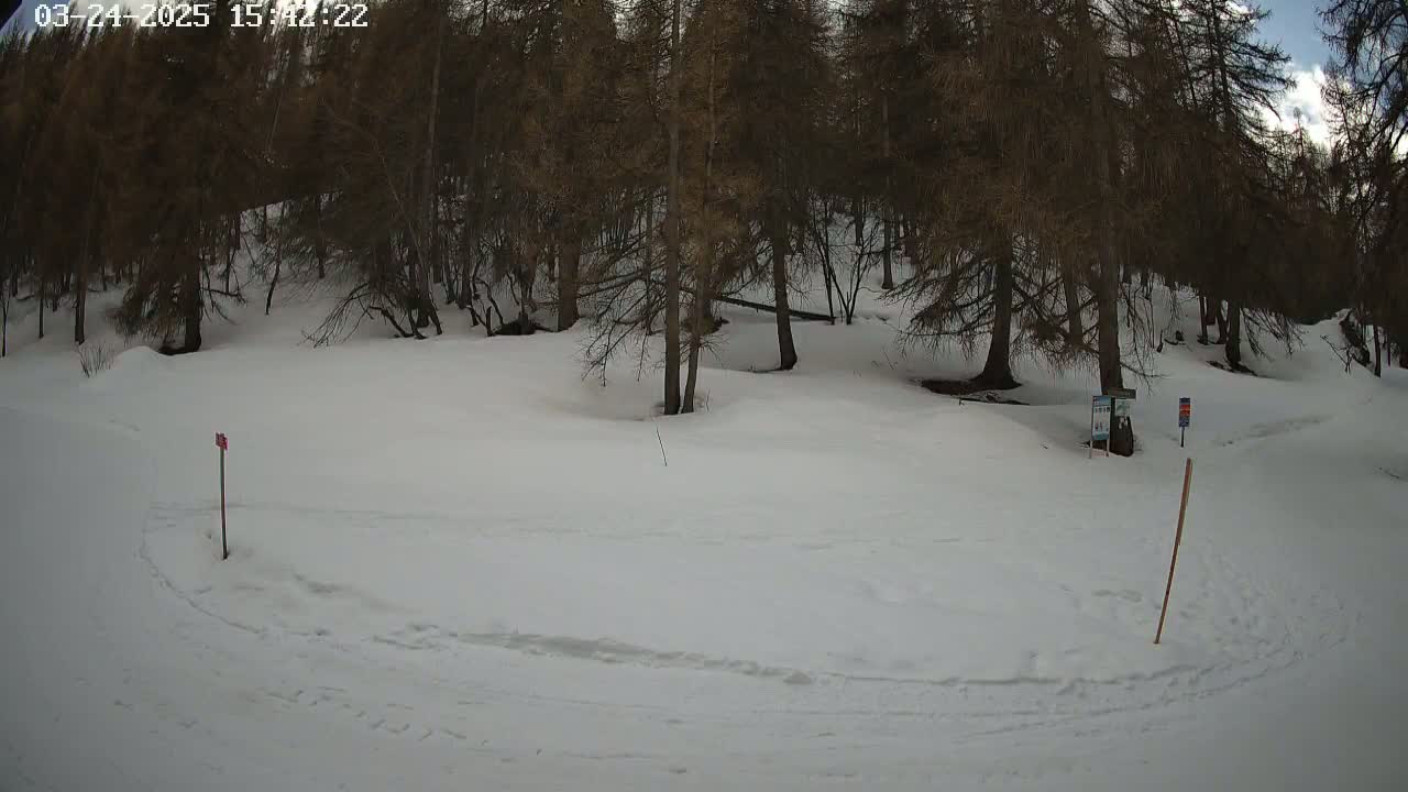 A snow-covered area with a few dark trees in the background under a partly cloudy sky.