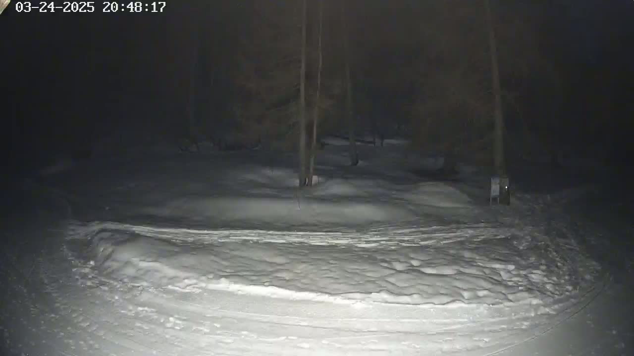 A snow-covered area at night, surrounded by dark trees under a dark sky.