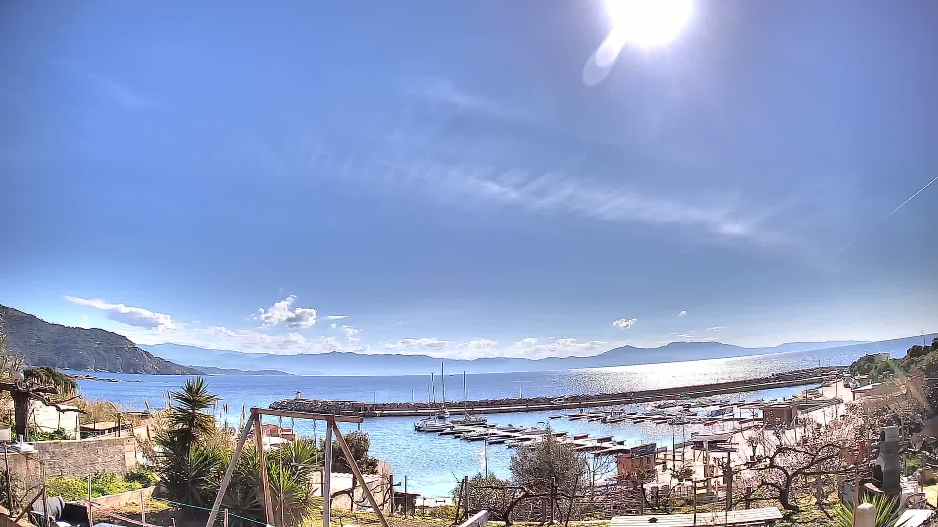 A sunny day reveals a small harbor filled with boats, nestled between a hillside and a calm sea with mountains in the distance.