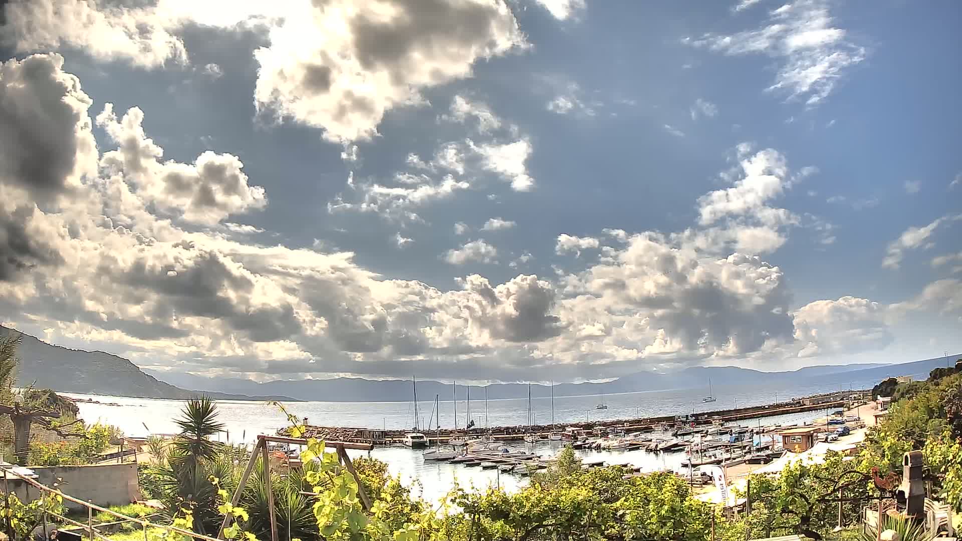 A partly sunny day with puffy clouds over a calm bay filled with boats, viewed from behind vegetation.