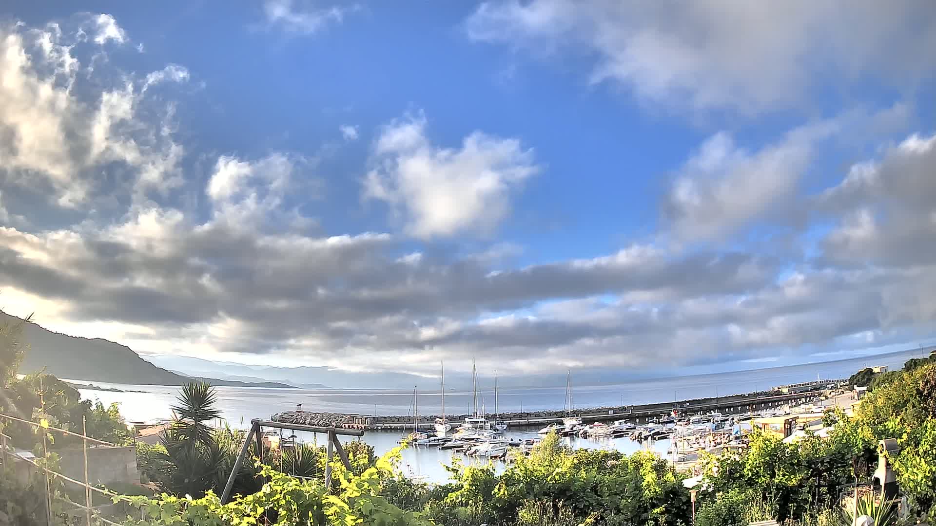 A partly cloudy sky overlooks a calm bay with a marina full of boats, seen from behind a row of vegetation.