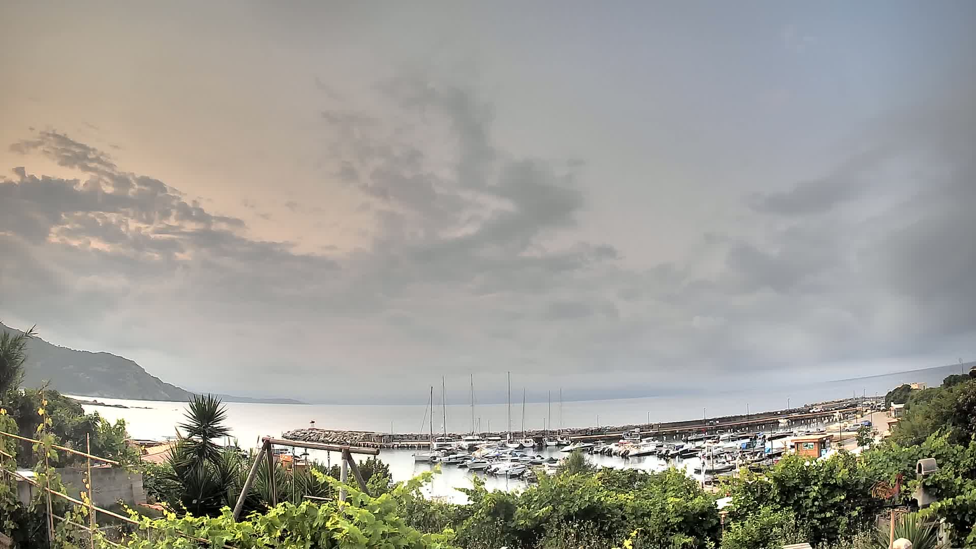 A marina filled with boats is seen from behind a line of vegetation under a mostly cloudy sky.