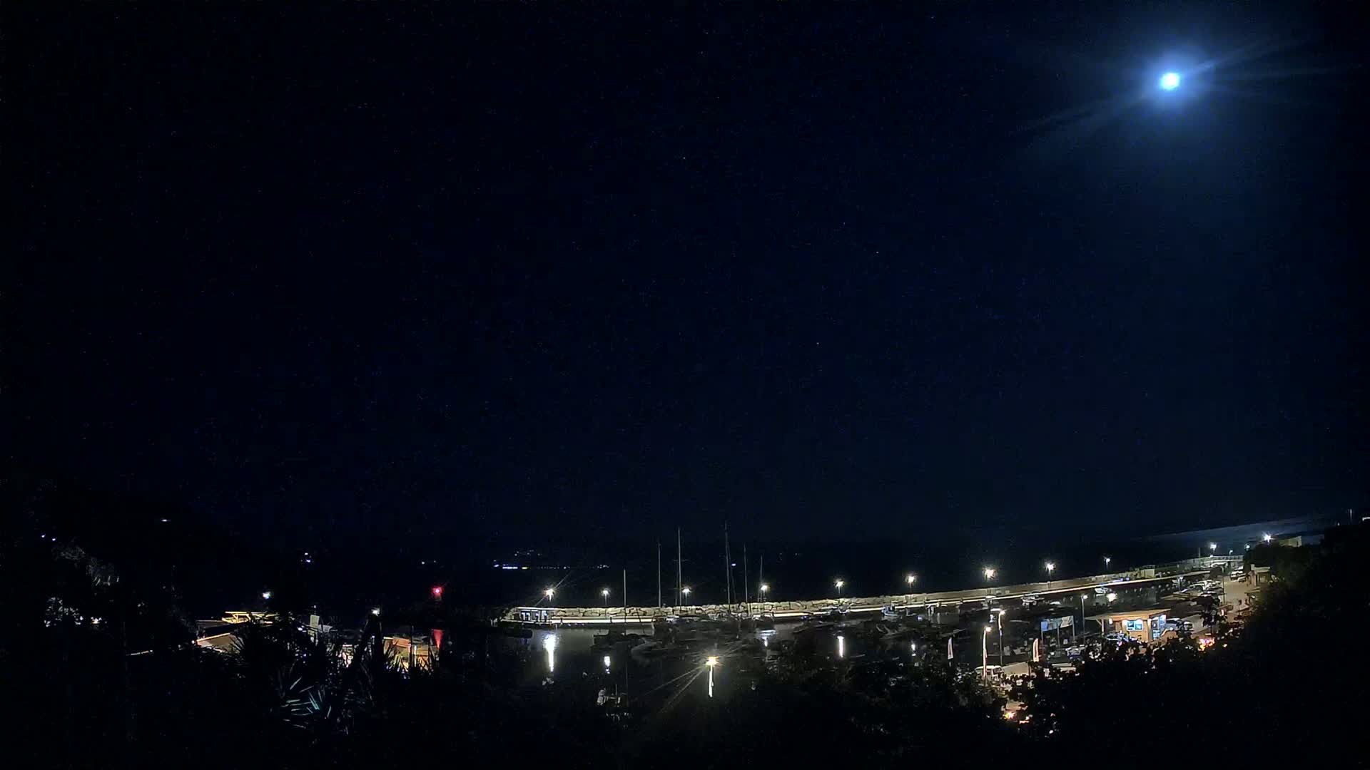 A moonlit night scene shows a marina with boats docked, illuminated by lights, viewed from a slightly elevated position among dark trees.