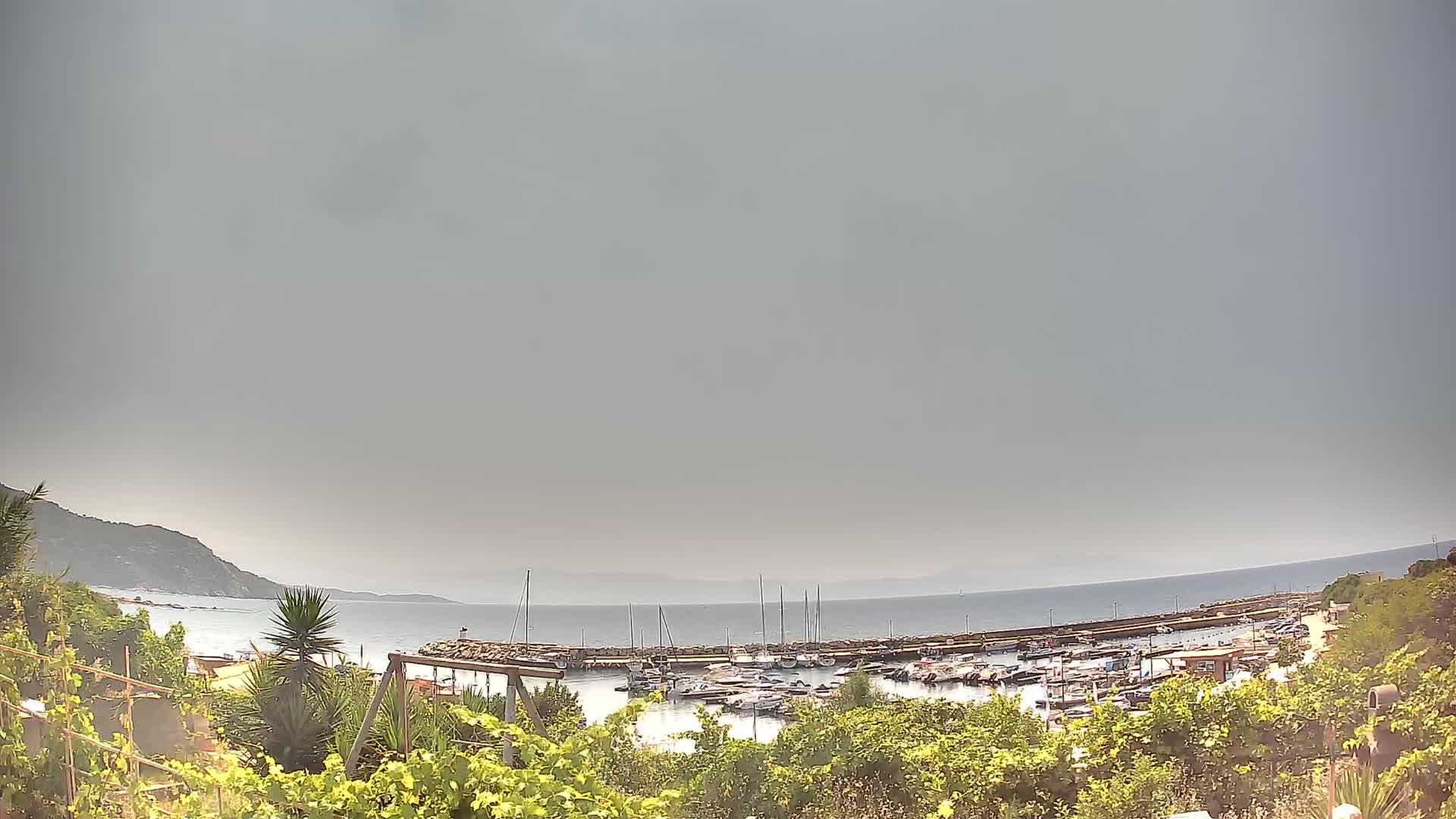 A small marina filled with boats sits on a calm sea under an overcast sky, viewed from behind lush green vegetation on a hillside.
