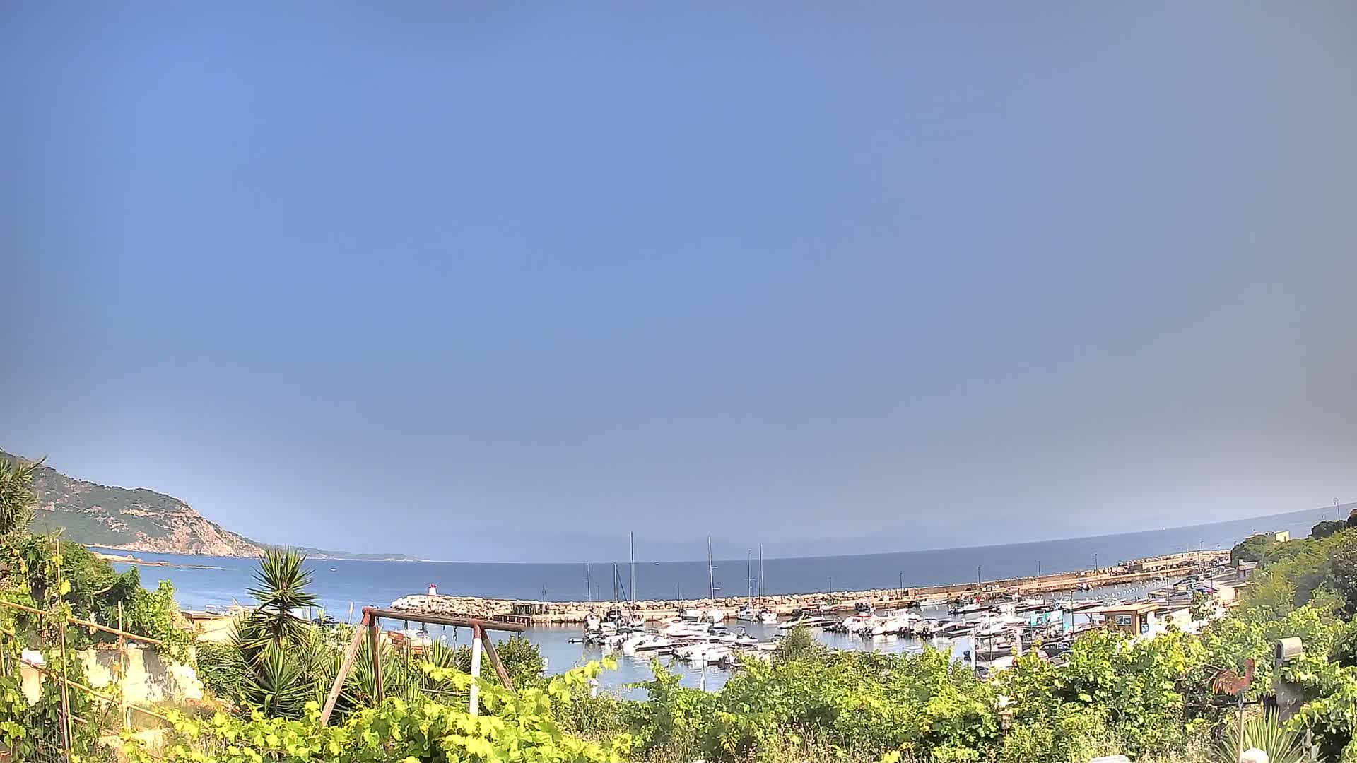 A marina filled with boats is nestled in a calm bay under a clear blue sky, viewed from behind vegetation on a hillside.