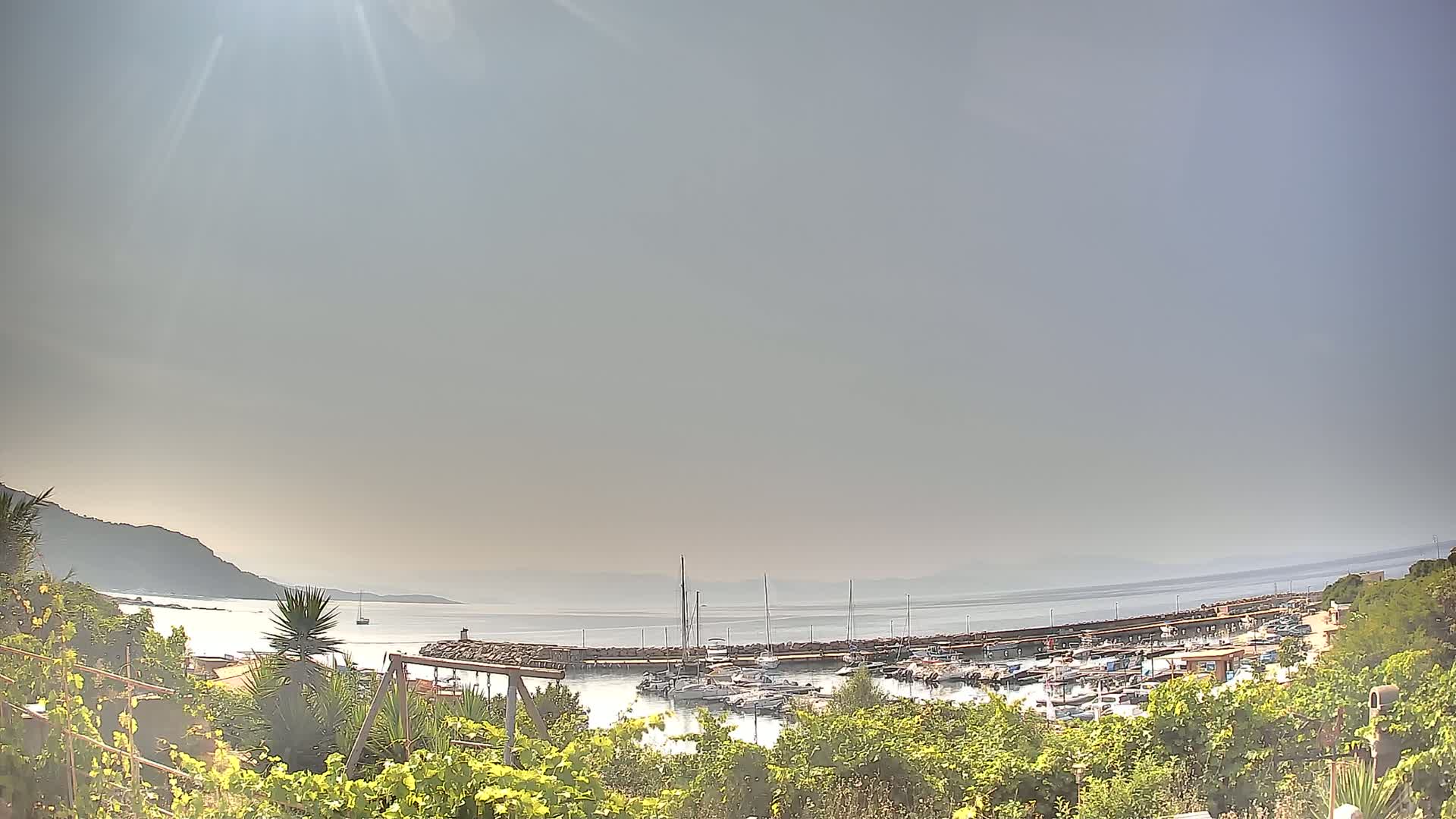 A hazy sunny day overlooks a calm bay with a marina filled with boats, seen from behind lush green vegetation.