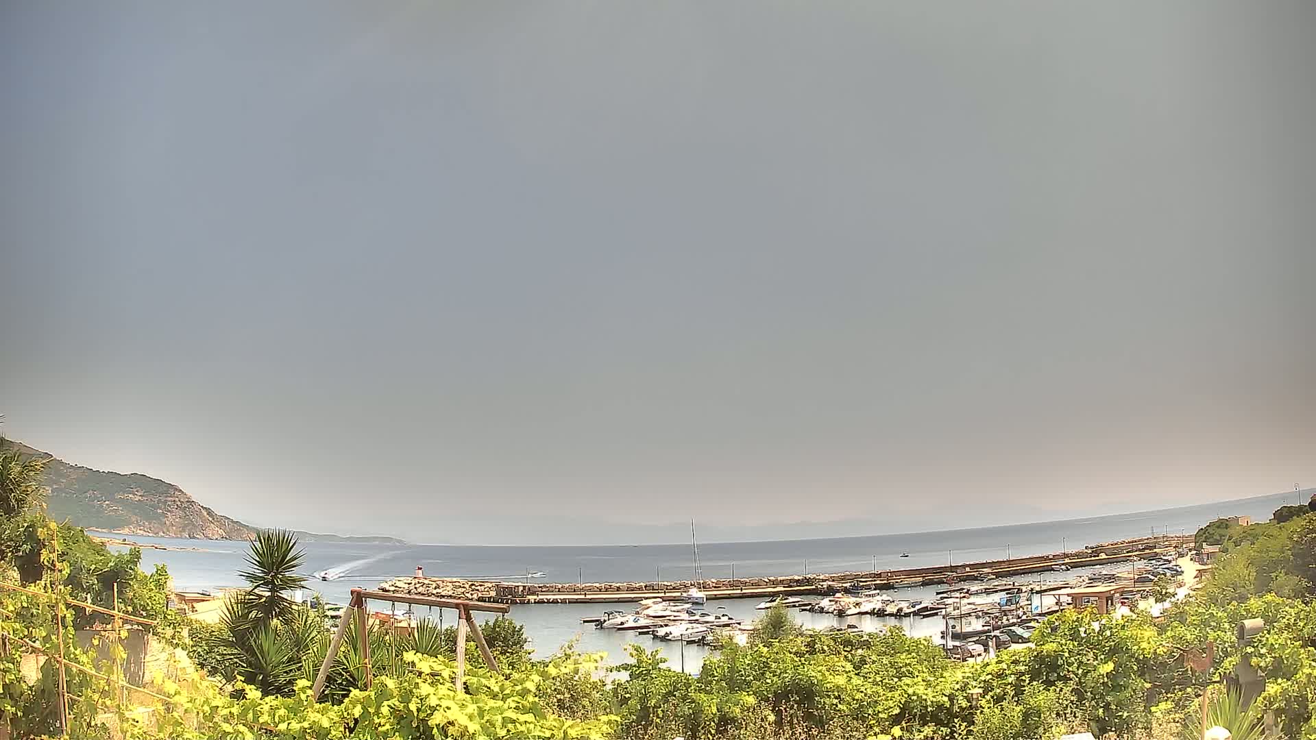 A hazy, overcast day reveals a small harbor filled with boats nestled between a rocky shore and calm sea, viewed from a hillside garden.