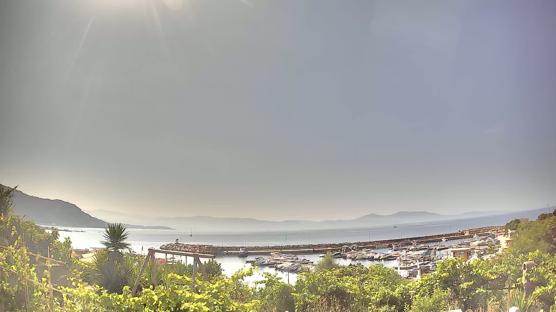 A sunny day overlooking a calm bay with a marina filled with boats, and hills in the distance, viewed from behind a line of vegetation.