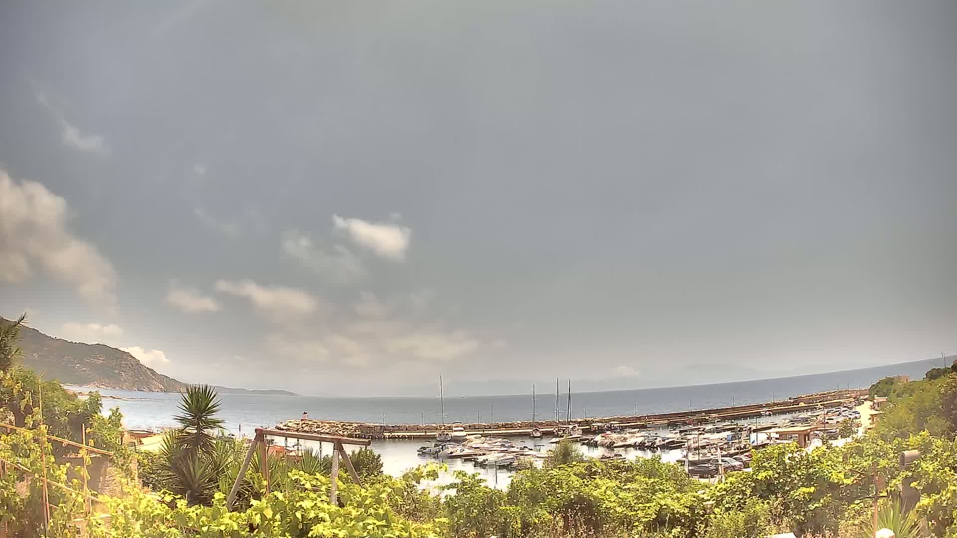A partly cloudy sky overlooks a calm bay filled with moored boats, viewed from behind a row of lush green vegetation.