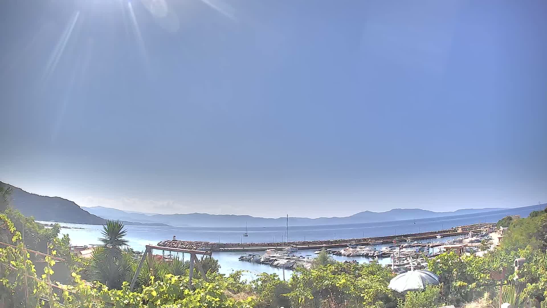 A sunny day overlooking a calm bay with a marina full of boats, surrounded by hills and vegetation.