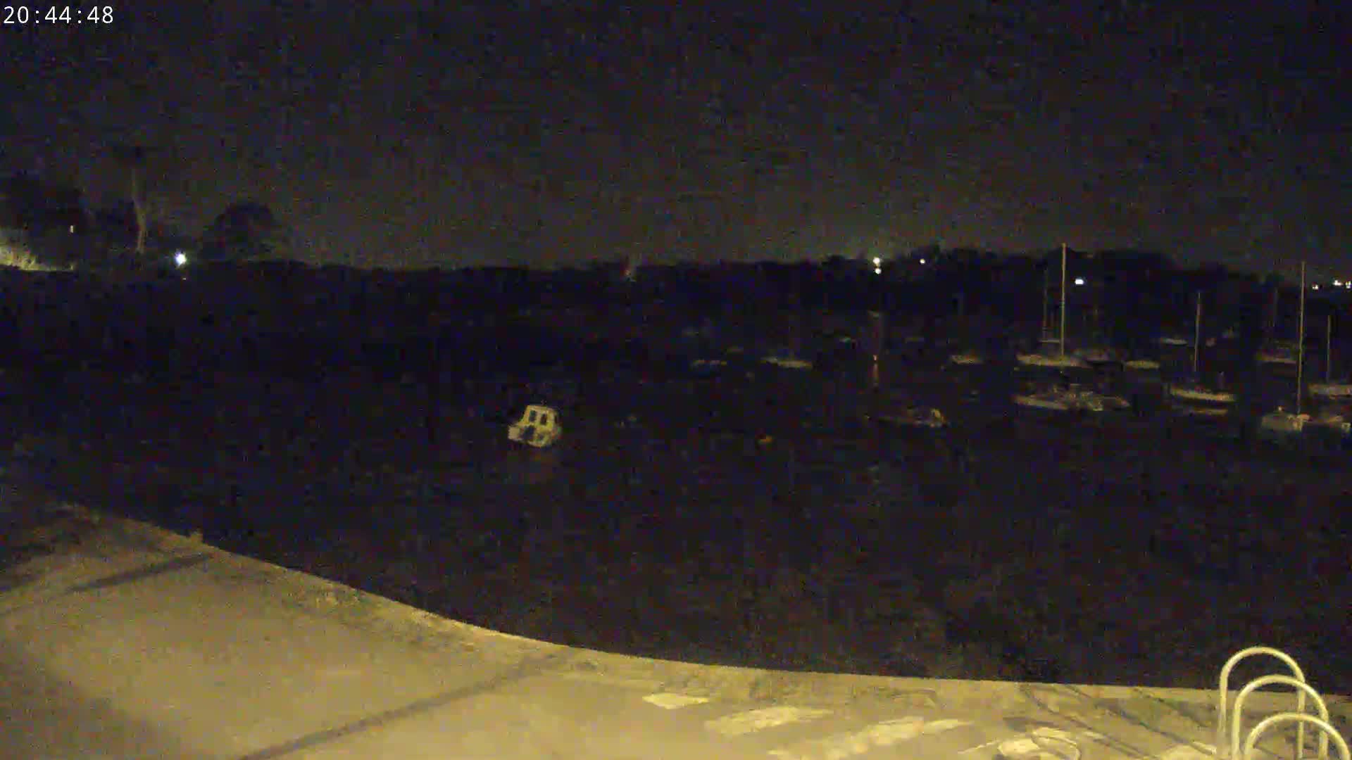 A nighttime view of a dark body of water containing numerous boats, with a paved area and a portion of a ladder visible in the foreground under a clear, dark sky.