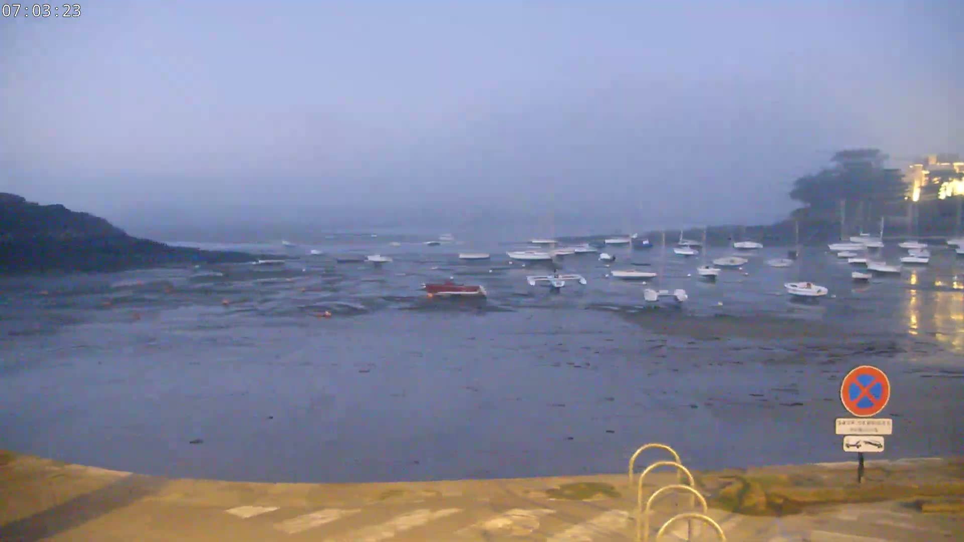 Numerous small boats are moored in a calm, foggy harbor at low tide.