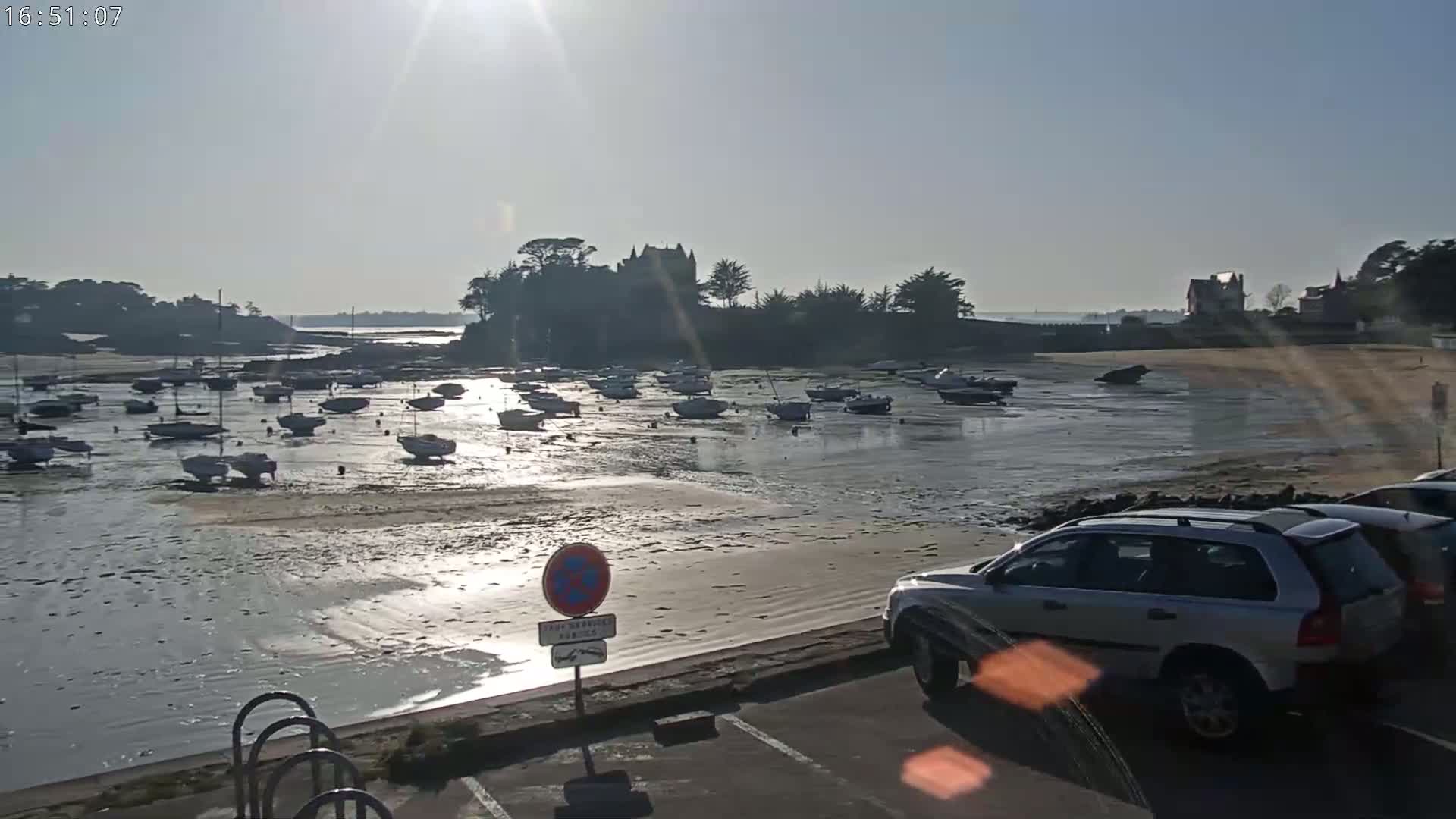 A sunny day reveals numerous small sailboats resting on a tidal flat near a shoreline with cars parked nearby.
