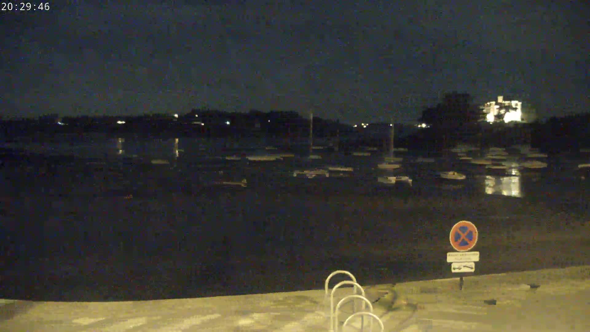 A nighttime view of a dark body of water with numerous boats docked, a building lit up in the distance under a clear sky.