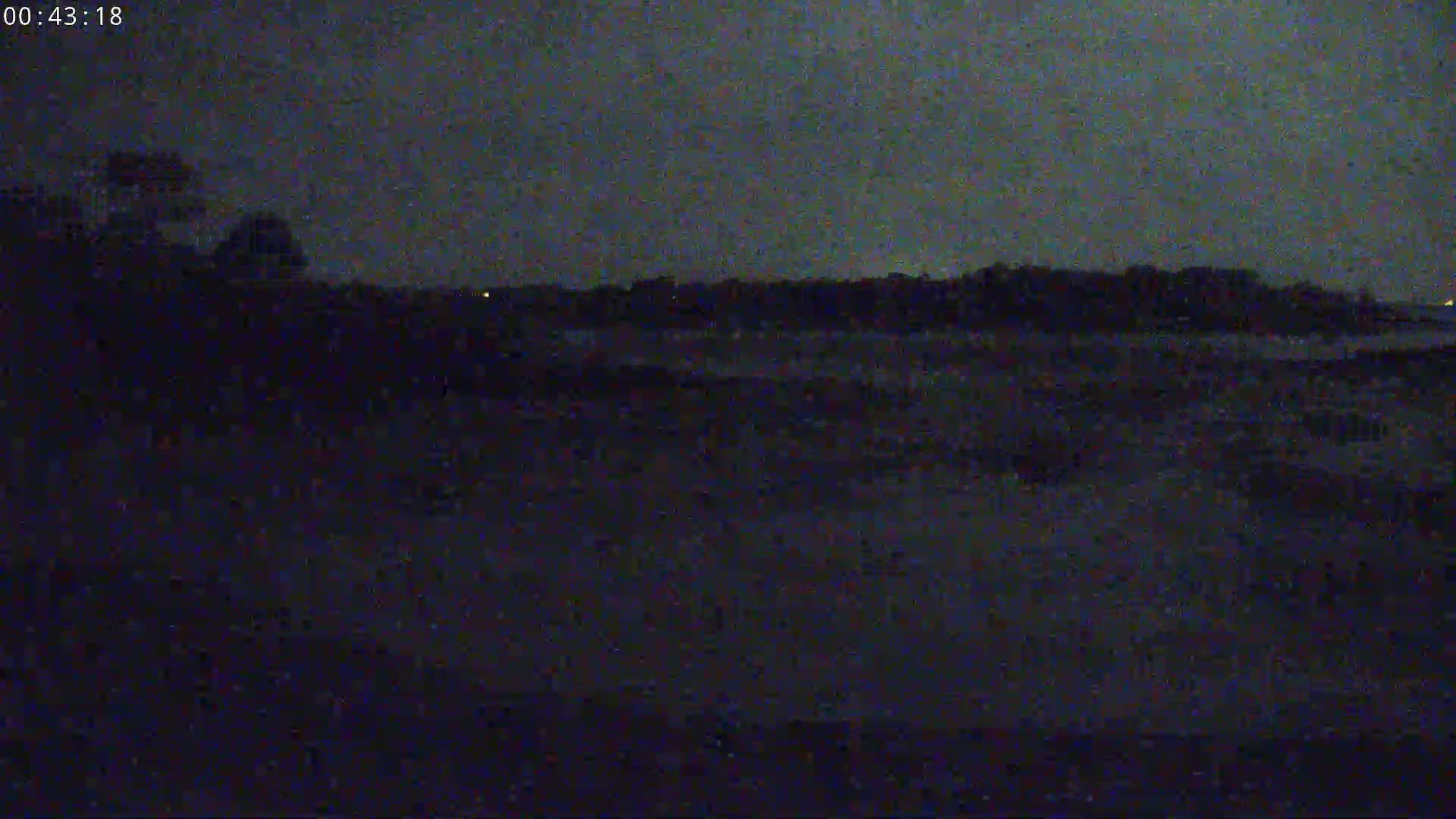 A dark, nighttime scene shows a flat expanse of land with a line of trees in the distance under a dusky sky.